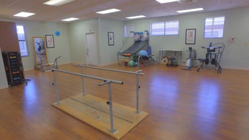 Therapy Gym 2